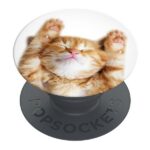 Popsockets 2 Snoozy Cat Holder and Phone Stand
