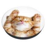 Popsockets 2 Snoozy Cat Holder and Phone Stand - Image 3